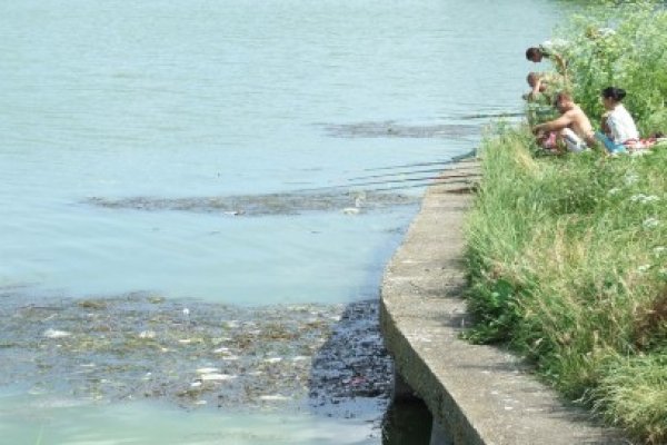 Campanie de ecologizare a parcului Tăbăcăriei